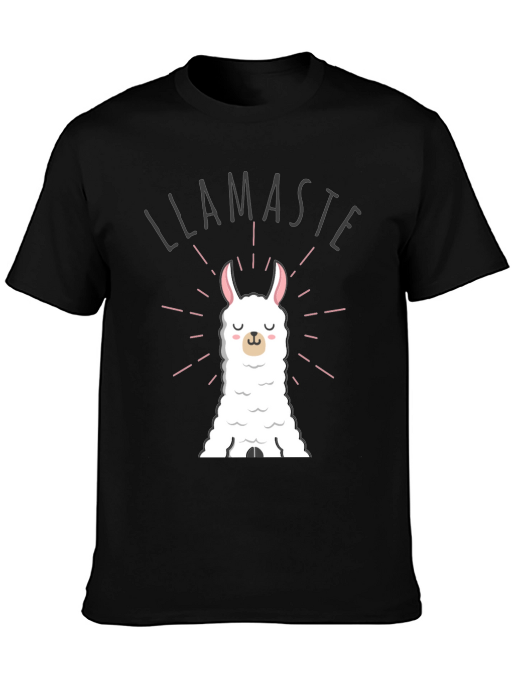 Llamaste Funny Llama T-Shirt - Black