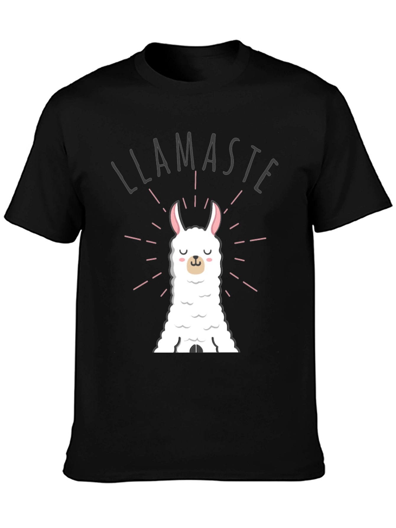 Llamaste Funny Llama T-Shirt - Black