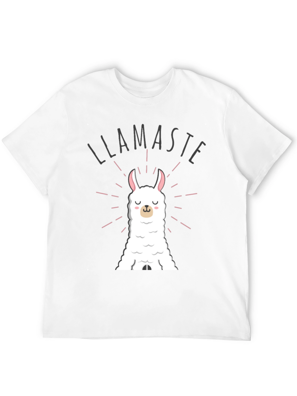 Llamaste Funny Llama T-Shirt - Black