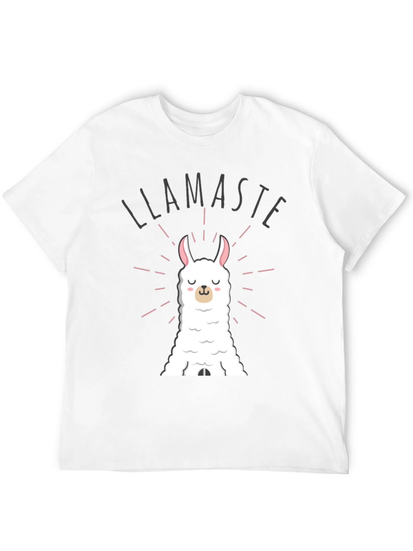 Llamaste Funny Llama T-Shirt - Black