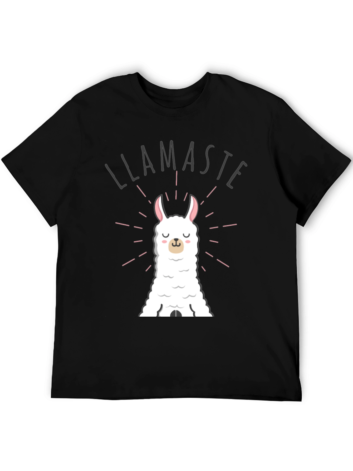 Llamaste Funny Llama T-Shirt - Black