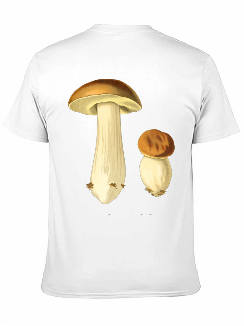 Mushroom Graphic Tee - Botanical Print